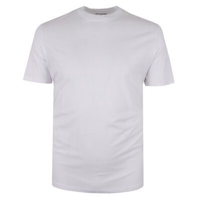 JACK & JONES BRADLEY T-SHIRT-sale clearance-KINGSIZE BIG & TALL