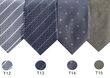 T12 - T13 - T14 - T15