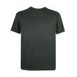 OLIVE - FRONT